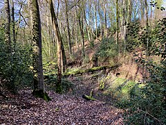 Bachtaldes Schümicher Siefens am Oberlauf