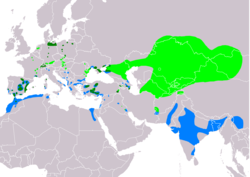 Distribución de Netta rufina      Área de cría.      Área de ocupación permanente.      Área de invernada.