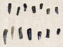 Obsidian blade microliths Imari Shirohebiyama-Iwakage site.jpg
