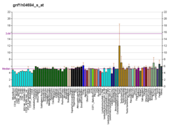 PBB GE FOXK1 gnf1h04694 s в формате fs.png