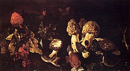 Paolo Porpora - Still-Life with Fungi - WGA18169.jpg