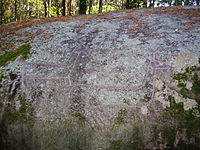 Petroglifu gallegos: cápridos