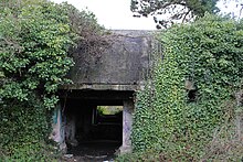 Photo d'un bunker de la Seconde Guerre mondiale sous de la végétation.