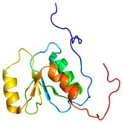 Представлено на основе PDB 2EBU.