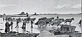 Retour de la coupe du goémon vers 1910 (photographie non localisée, probablement côte nord du Finistère).