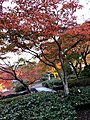Sakurayama Park in autumn