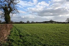 Sheep pasture near Egerton Green - geograph.org.uk - 712390.jpg