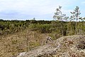 Miniatyrbild för versionen från den 18 maj 2019 kl. 21.20