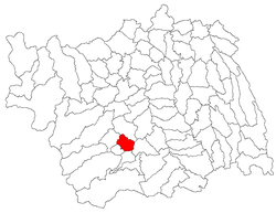 Location of Târgu Trotuş