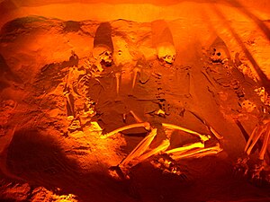 English: Museo del sitio, Teotihuacán. Human s...