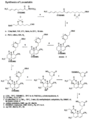 Totalsynthesis2.png