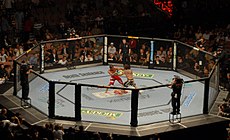 UFC 74 Respect Bout.jpg