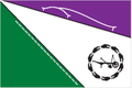 Vlag van Tiendeveen
