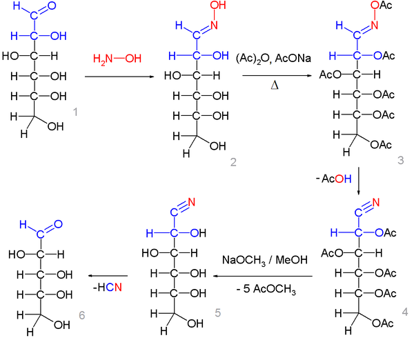 Dégradation de Wohl du glucose en arabinose.