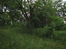 As farms industrialize, smaller farms are no longer economically viable, leading to rural decay. Abandoned farmhouse, overgrown.jpg