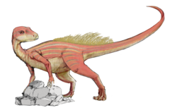 אבריקטוזאורוס