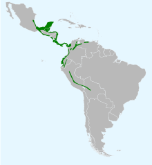 Distribución de A. holosericeus