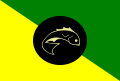 Bandeira de Calçoene