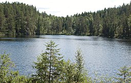 Sjön Bergtjärnet som ligger inom naturreservatet
