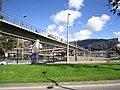 Miniatura para Puente peatonal