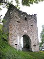 Ruine der Burg Werdenstein