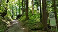 Aufgang zur Burg