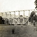 Bush tramway bridge with eight piers beside the Hutt River at Te Mārua