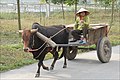 2013年2月15日 (金) 18:09時点における版のサムネイル