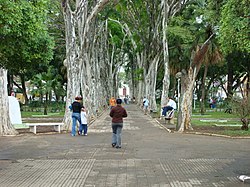 View o Campo Belo's main square