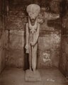 Déesse Sekhmet, temple de Ptah, Karnak, musée Georges-Labit de Toulouse