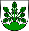 Brasão de Haslach