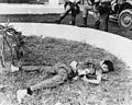 Vietcong sapper lies dead in a planter in the grounds of the U.S. Embassy, Saigon on 31 January 1968