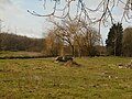 Dolmen de Rugles, Ambenay