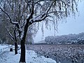 斷橋殘雪