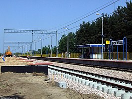 Station Dziewule