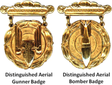 Former US Army Distinguished Aerial Badges.png