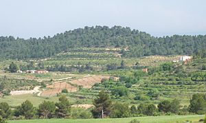 Vista parcial de Fuente Carrasca.