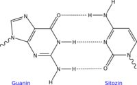 GC DNA base pair tr.png