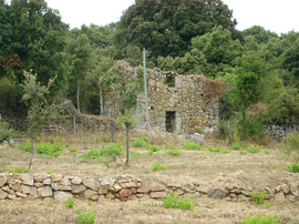 The U Troghju Comunu, which is the ancestor of the wine cooperatives, in Giuncheto