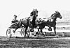 A man driving a horse in the early 1900s at a speedway