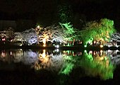 八鶴湖（東金桜まつり）