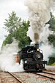 Unu el la lokomotivoj de Mount Rainier Scenic Railroad (fotita ĉe Eatonville)