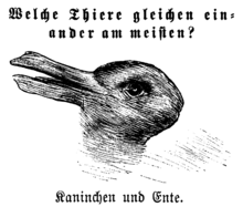 Reversible figure optical illusion — is it a duck or a rabbit? ...or a duck? ...or a rabbit?