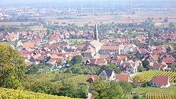 Skyline of Kintzheim