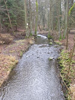 Kornatický potok pod Lopatou