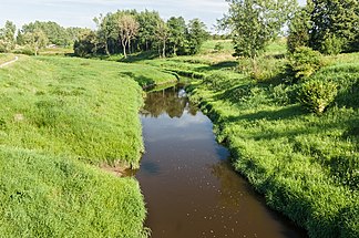 Fluss Drwęca Warmińska