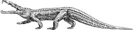 Leptosuchus