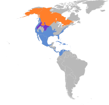Mareca americana map.svg