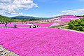 2018年5月27日 (日) 12:55時点における版のサムネイル