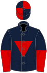 Dark blue, red inverted triangle, halved sleeves, quartered cap